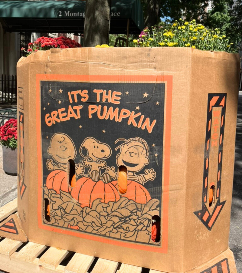 Pump'Kin Spice
